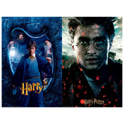 PUZZLE RASCAR HARRY POTTER HARRY POTTER