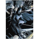 PUZLE ASMODEE 1000 UNIVERSO DC - Puzzles