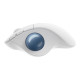 MOUSE RATON LOGITECH ERGO M575 BLUETOOTH Ratones