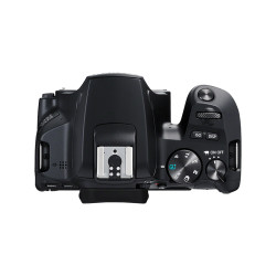 CAMARA DIGITAL CANON REFLEX EOS 250D+EF - S