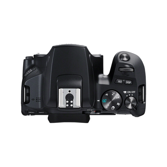 CAMARA DIGITAL CANON REFLEX EOS 250D+EF - S Cámaras de fotos reflex CAMARA DIGITAL CANON REFLEX EOS 250D+EF - S Cámaras de fotos reflex