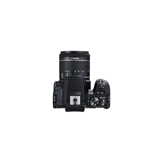 CAMARA DIGITAL CANON REFLEX EOS 250D+EF - S Cámaras de fotos reflex CAMARA DIGITAL CANON REFLEX EOS 250D+EF - S Cámaras de fotos reflex