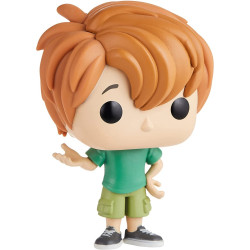 FUNKO POP ANIMACION SCOOBY DOO SHAGGY