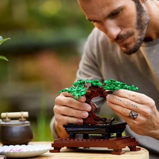 LEGO CREATOR EXPERT CAMPO BONSAI 10281 Legos LEGO CREATOR EXPERT CAMPO BONSAI 10281 Legos