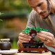 LEGO CREATOR EXPERT CAMPO BONSAI 10281 Legos LEGO CREATOR EXPERT CAMPO BONSAI 10281 Legos
