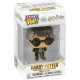 POP & TEE HARRY POTTER FUNKO Funkos POP & TEE HARRY POTTER FUNKO Funkos