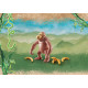 PLAYMOBIL WILTOPIA ORANGUTAN Playmobils PLAYMOBIL WILTOPIA ORANGUTAN Playmobils