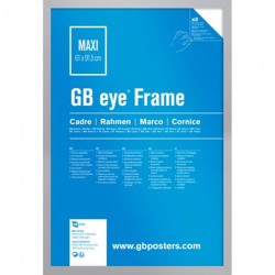 MARCO GB EYE MDF PLATEADO -