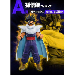 ICHIBAN KUJI BANPRESTO DRAGON BALL VS