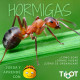 PACK ABEJA Y HORMIGAS TILK BEE - BOT Robotica PACK ABEJA Y HORMIGAS TILK BEE - BOT Robotica