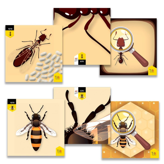 PACK ABEJA Y HORMIGAS TILK BEE - BOT Robotica PACK ABEJA Y HORMIGAS TILK BEE - BOT Robotica
