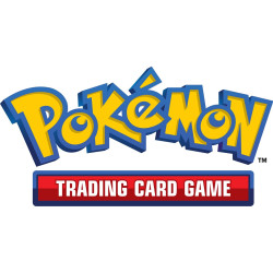 POKEMON TCG CAJA ÉLITE SV4 ESPAÑOL