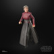 FIGURA HASBRO STAR WARS THE BLACK Figuras