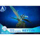 FIGURA BEAST KINGDOM DSTAGE AVATAR 2 Figuras FIGURA BEAST KINGDOM DSTAGE AVATAR 2 Figuras
