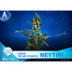 FIGURA BEAST KINGDOM DSTAGE AVATAR 2 Figuras FIGURA BEAST KINGDOM DSTAGE AVATAR 2 Figuras