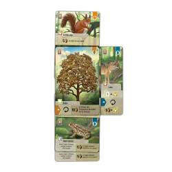 JUEGO MESA FOREST SHUFFLE EDAD RECOMENDADA