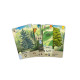 JUEGO MESA FOREST SHUFFLE EDAD RECOMENDADA Juegos de mesa JUEGO MESA FOREST SHUFFLE EDAD RECOMENDADA Juegos de mesa
