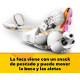 LEGO CREATOR CONEJO BLANCO Legos LEGO CREATOR CONEJO BLANCO Legos