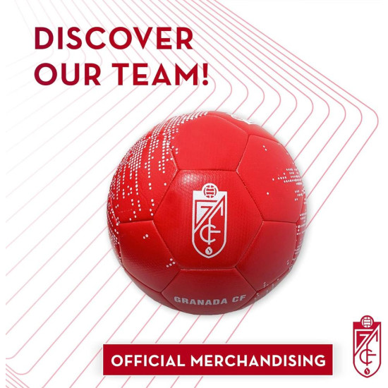 ESTADIO LOS CÁRMENES (GRANADA CF) Réplicas ESTADIO LOS CÁRMENES (GRANADA CF) Réplicas