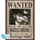 POSTER GB EYE CHIBI ONE PIECE Libretas posters y bolígrafos POSTER GB EYE CHIBI ONE PIECE Libretas posters y bolígrafos