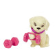 MUÑECA BARBIE MATTEL CONJUNTO ENTRENAMIENTO Y Juguetes MUÑECA BARBIE MATTEL CONJUNTO ENTRENAMIENTO Y Juguetes