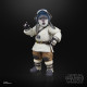 FIGURA HASBRO STAR WARS: THE ACOLYTE Figuras FIGURA HASBRO STAR WARS: THE ACOLYTE Figuras