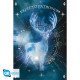 MAXI POSTER GB EYE HARRY POTTER Libretas posters y bolígrafos MAXI POSTER GB EYE HARRY POTTER Libretas posters y bolígrafos