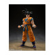FIGURA TAMASHII NATIONS DRAGON BALL SUPER Figuras
