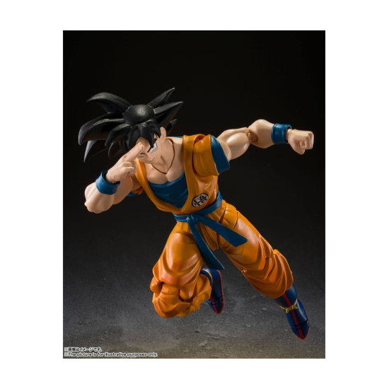 FIGURA TAMASHII NATIONS DRAGON BALL SUPER Figuras