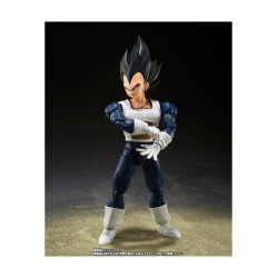 VEGETA - OLD BATTLE CLOTHES -  FIG. 14