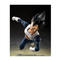 VEGETA - OLD BATTLE CLOTHES -  FIG. 14