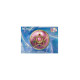 CRYSTAL STAR BRILLANT COLOR EDITION REPLICA Figuras