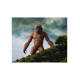 FIGURA TAMASHII NATIONS GODZILLA X KONG Figuras FIGURA TAMASHII NATIONS GODZILLA X KONG Figuras