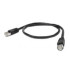 CABLE RED LATIGUILLO RJ45 FTP CAT